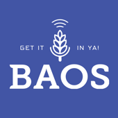BAOS: Beer & Other Shhh Podcast